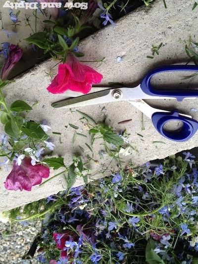 amazing diy projects for taking care of your hanging plants, How to Revive Your Hanging Basket Plants