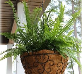 amazing diy projects for taking care of your hanging plants, Affordable DIY Baskets for Hanging Plants