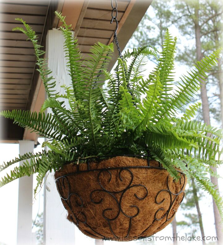 increbles proyectos de bricolaje para cuidar tus plantas colgantes, Ahorra dinero haciendo tus propias cestas colgantes