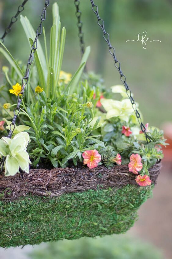 amazing diy projects for taking care of your hanging plants, Starting Your Own Hanging Basket Plants