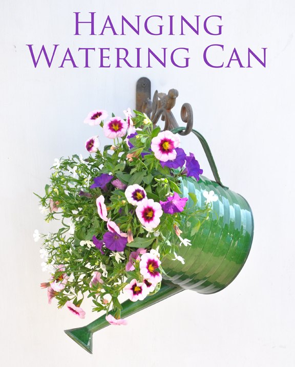 amazing diy projects for taking care of your hanging plants, Create Different DIY Hanging Plant Baskets