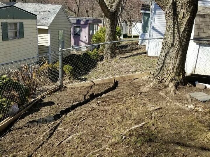 q i need ideas for a problem area in yard any ideas
