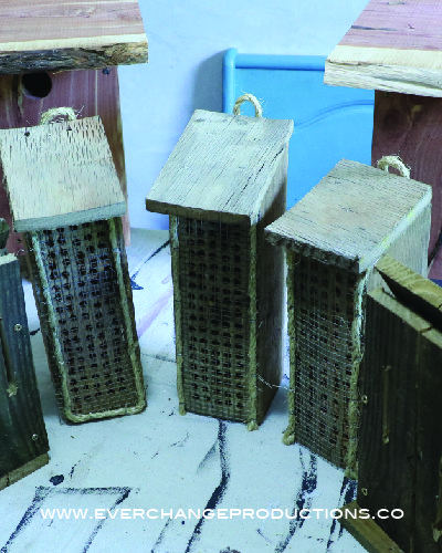 casas de abelhas de alvenaria fceis de reciclar