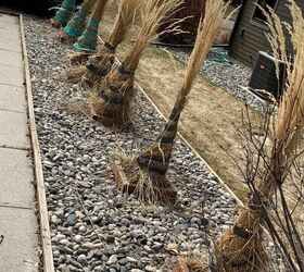 easy spring clean up for tall ornamental grass