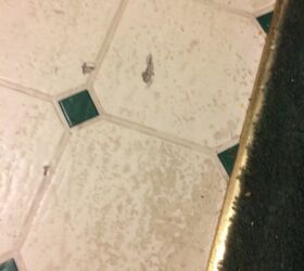 What is the easiest way to remove this 30 year old linoleum