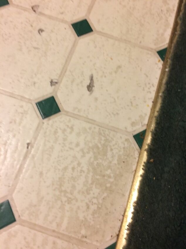 How to Clean Linoleum Floors With Ground in Dirt: Expert Tips