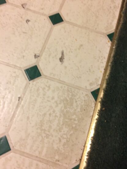 How To Clean Very Dirty Textured Vinyl, How To Clean Really Dirty Vinyl Tile Floors
