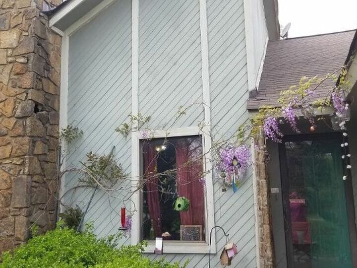 q any suggestions for directing wisteria away from house