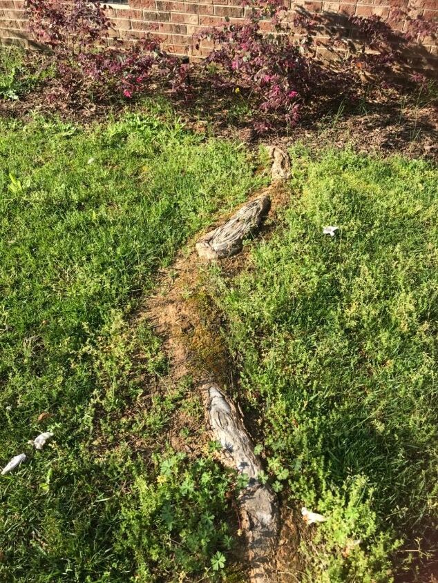 can a tree survive cutting its roota
