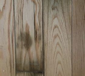 Cat pee stain on hotsell wood floor