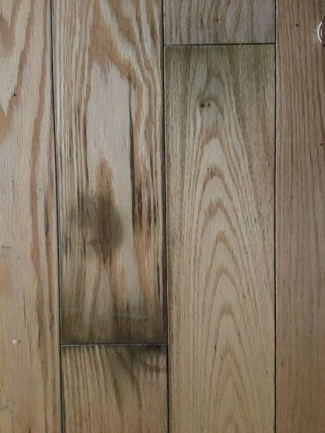 How Does One Get Animal Urine Stains Out Of Laminated Wood Flooring Hometalk