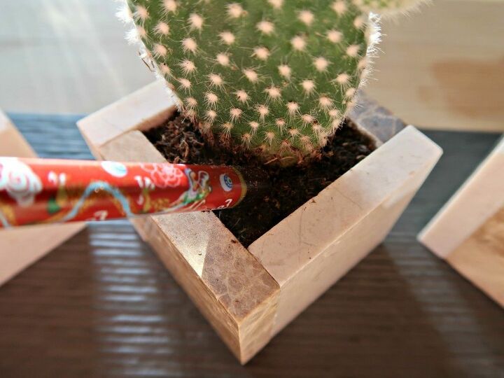 how to make cute square pots for mini cactus plants