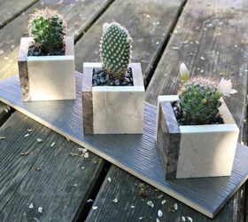 how to make cute square pots for mini cactus plants
