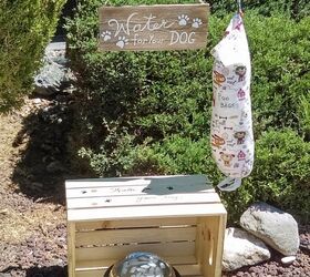 Water Station For Dogs | Hometalk