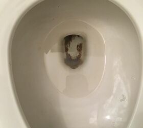 What's Causing The Black Stains In My Toilet Bowl And Tank?