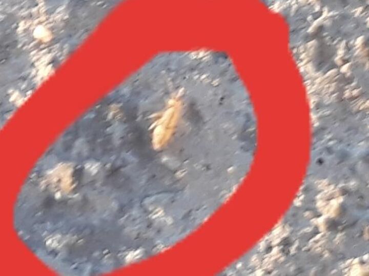 q what are these