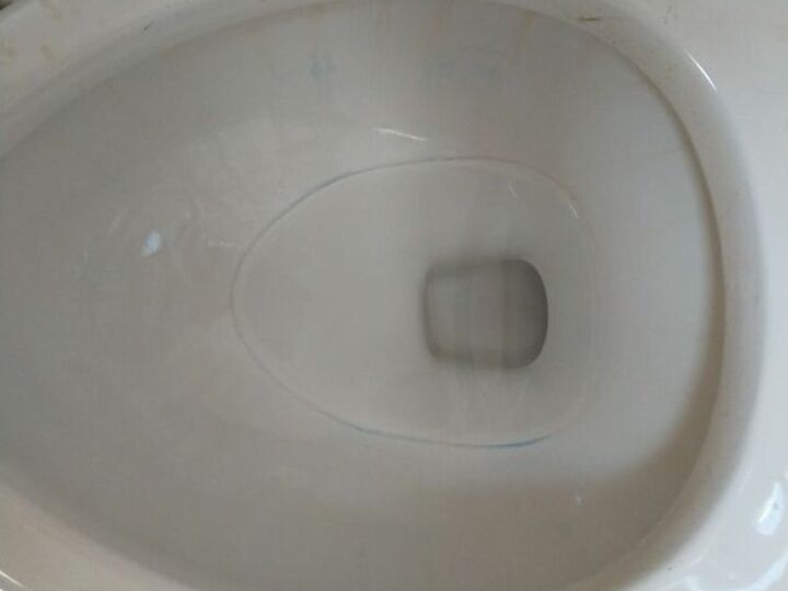q toilet bowl cleaner