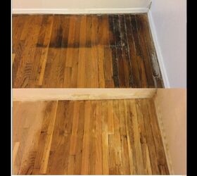 Cat Urine Out Of Wood Floors, Cat Urine Out Of Hardwood Floors