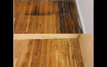 Cat Urine Odor From Hardwood Floors, How To Get Pet Odor Out Of Hardwood Floors