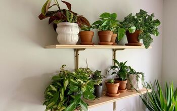Prateleiras de plantas DIY para transformar qualquer espaço!