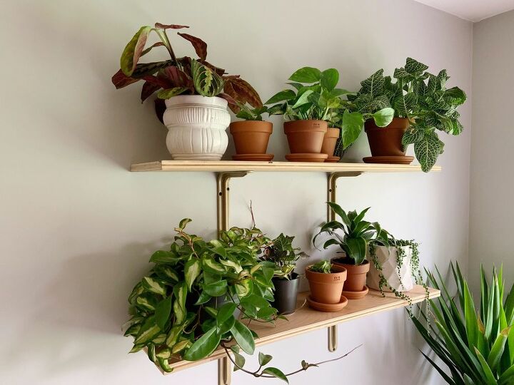 diy plant shelves to transform any space