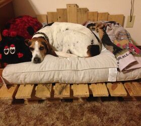 12 striking pallet bed projects for the perfect nights sleep, A Comfortable Dog Pallet Bed