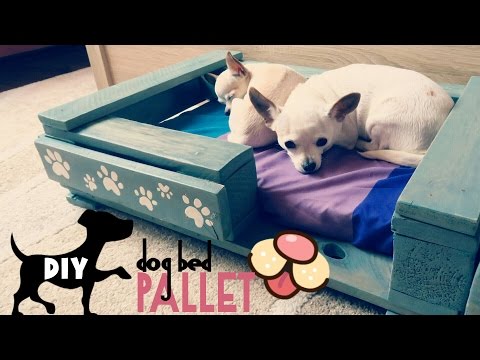 12 striking pallet bed projects for the perfect nights sleep, A Pallet Dog Bed