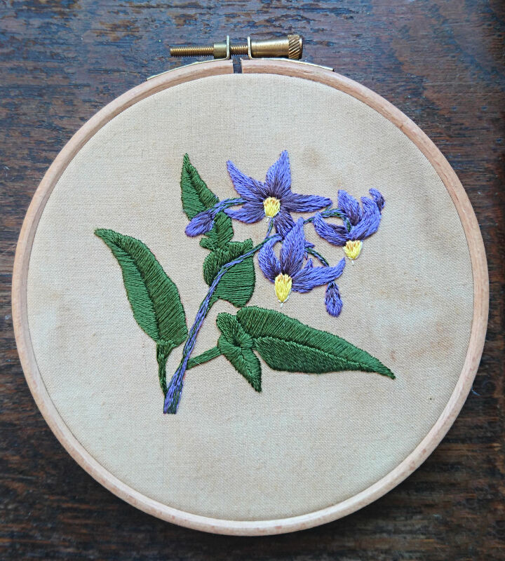 12 maneiras criativas de obter a aparncia que voc deseja usando bordados, Como bordar uma flor em um bastidor