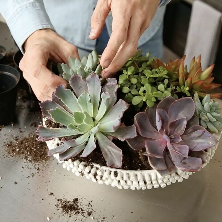 how to make a succulent arrangement