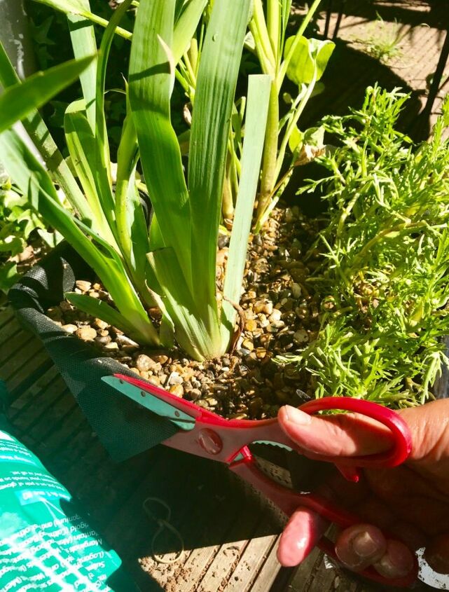 cute little diy old tub pond, Cut excess lining to neaten