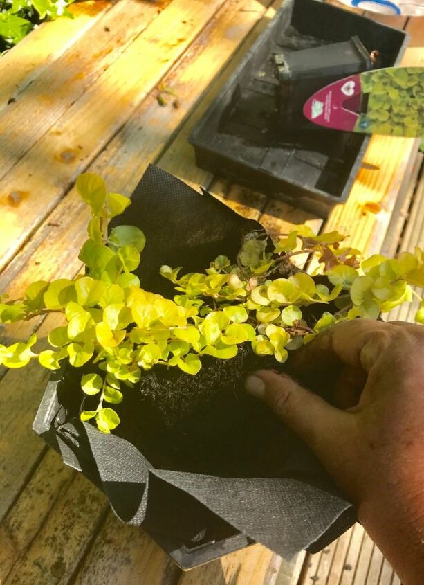 cute little diy old tub pond, Use variety of colours