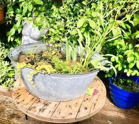 How to Make an Easy Mini Aquatic Plants Pond With an Old Metal Washtub