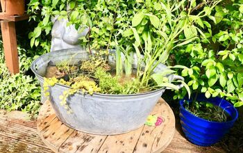 How to Make an Easy Mini Aquatic Plants Pond With an Old Metal Washtub