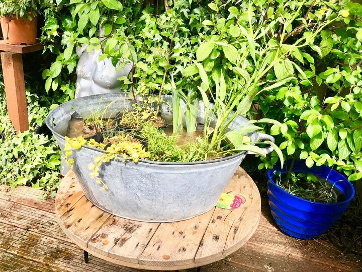 cute little diy old tub pond, Cute DIY wash tub pond