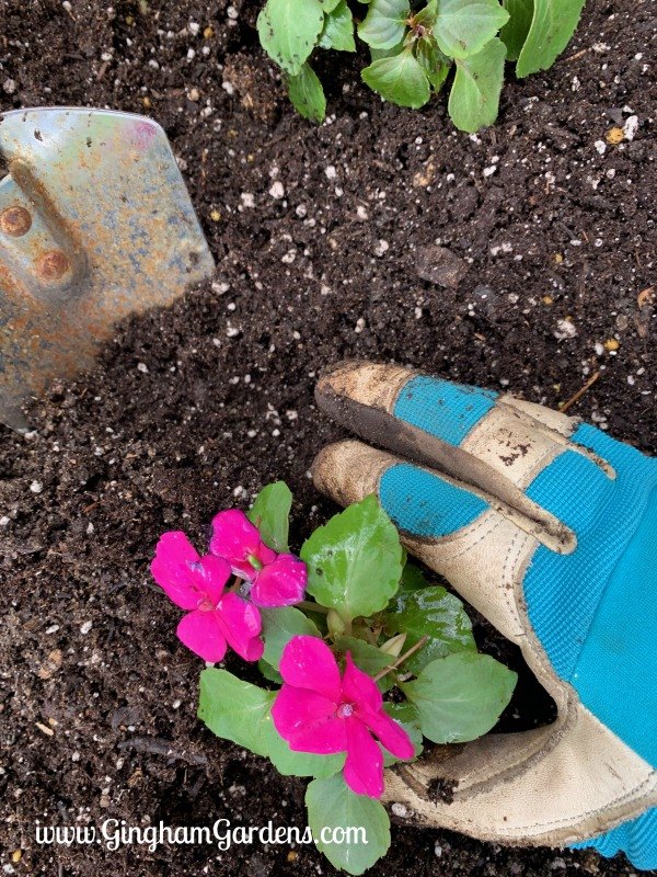 adicione um toque de criatividade ao seu jardim com um plantador virado