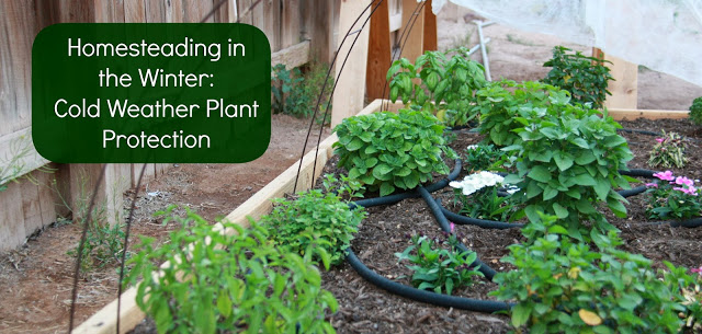 15 helpful homestead tips and tricks to make the most of your yard, Winter Warmers for Your Homestead