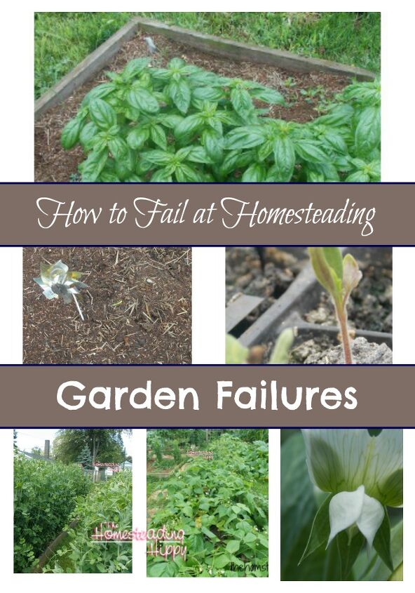 15 helpful homestead tips and tricks to make the most of your yard, Homestead Gardens How Not to Fail
