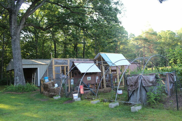 15 helpful homestead tips and tricks to make the most of your yard, Creative Chicken Condo