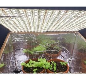 how to create an indoor growing room for plants
