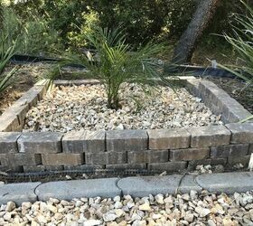 DIY Brick Garden Border And Edging Hometalk   Diy Brick Garden Border And Edging 