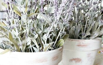 DIY Limewash Terra Cotta Lavender Plant