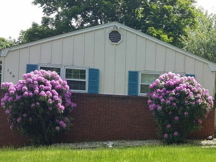 q landscaping ideas