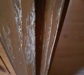 how do i fix my bathroom door frame due to my cats scratching on it