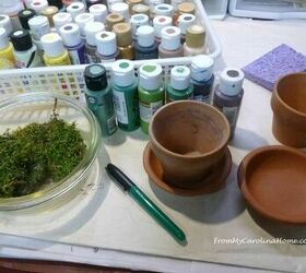 mossy herb planters