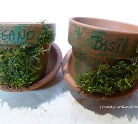mossy herb planters