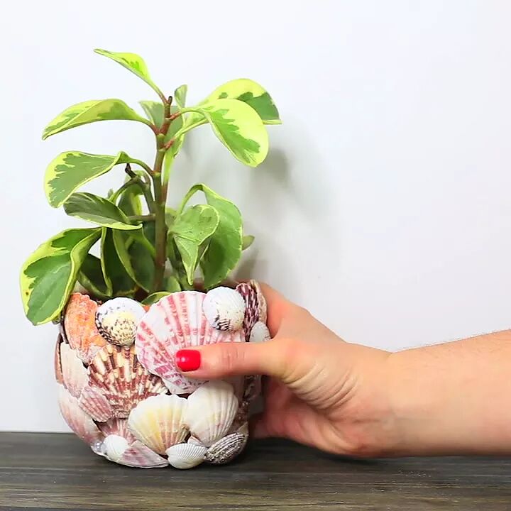 12 ideas de macetas decorativas con poco presupuesto, 6 decoraciones de conchas nicas para tu casa este verano