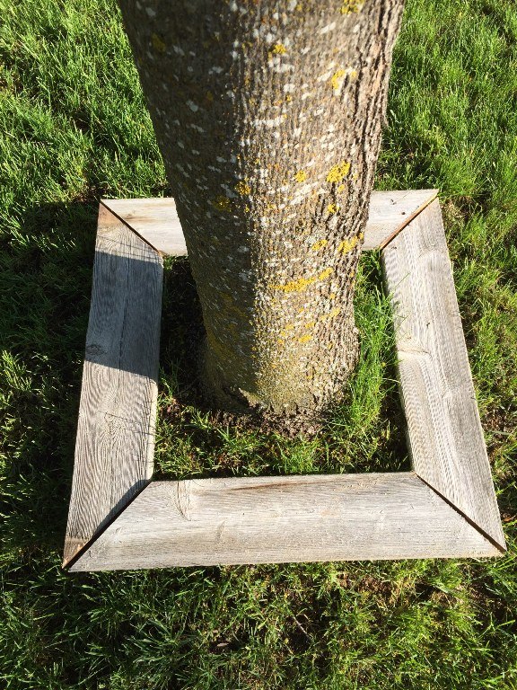banco de madera recuperada para el rbol