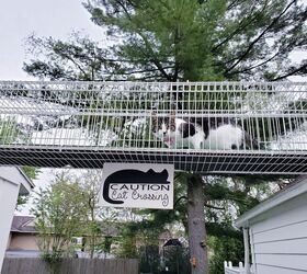 How to Make a Simple & Cute Outdoor Catwalk for Cats