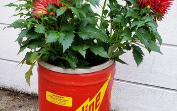 How to Easily Make Cute DIY Planters Out of Vintage Gas Cans