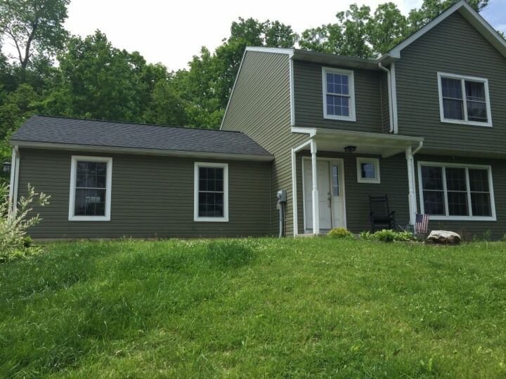 q what trees bushes can i plant between house and sidewalk